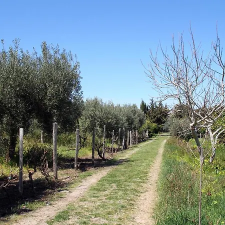 Tenuta Piana 2 Con Accesso Diretto Al Mare *